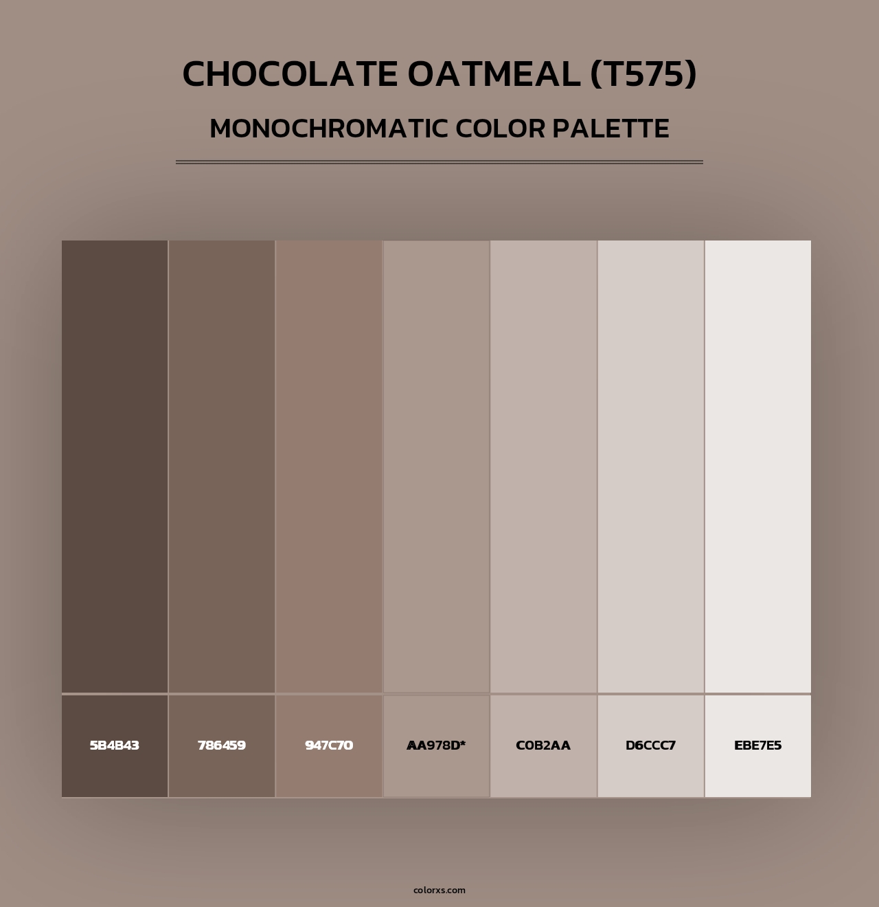 Chocolate Oatmeal (T575) - Monochromatic Color Palette
