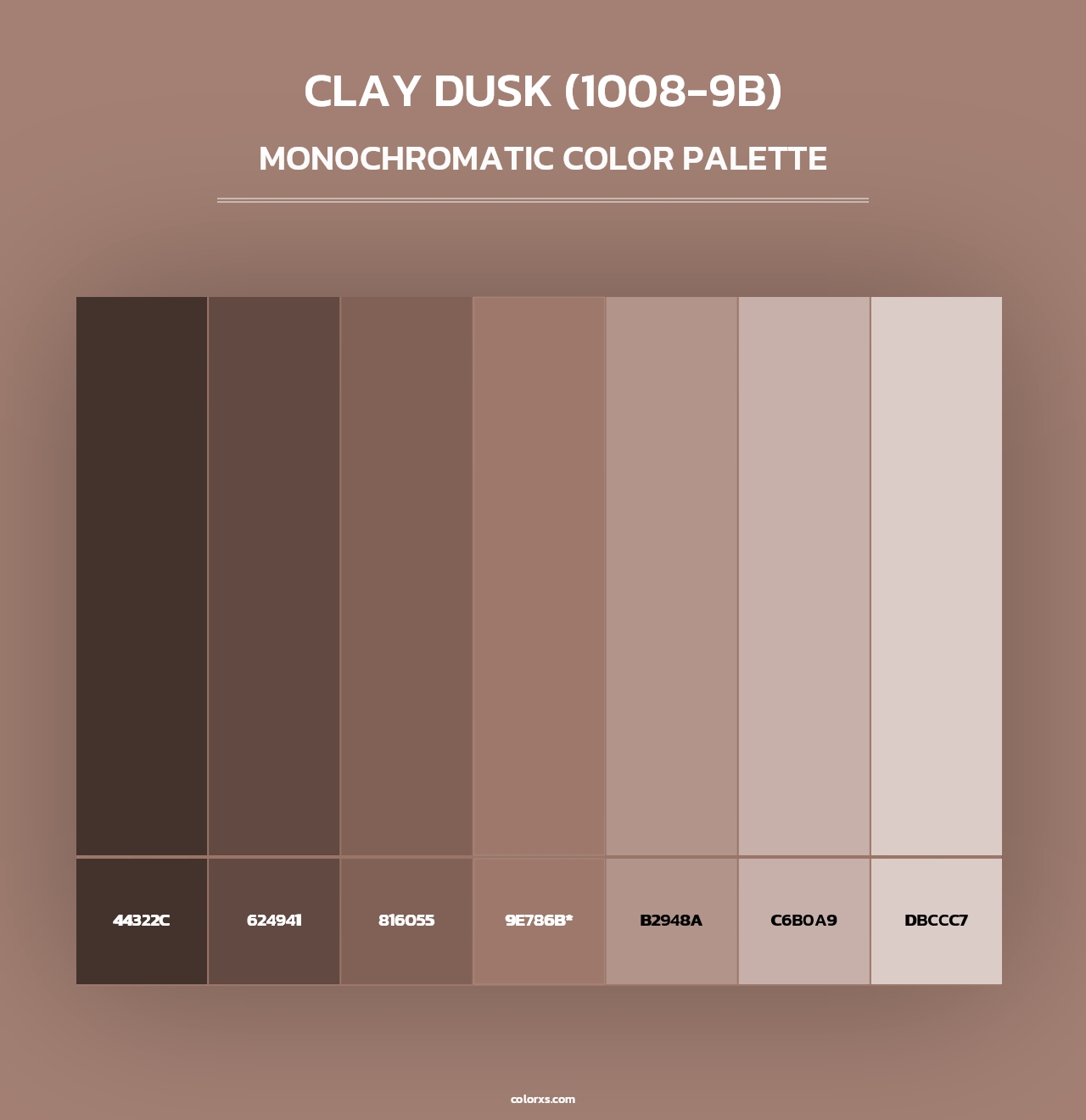Clay Dusk (1008-9B) - Monochromatic Color Palette