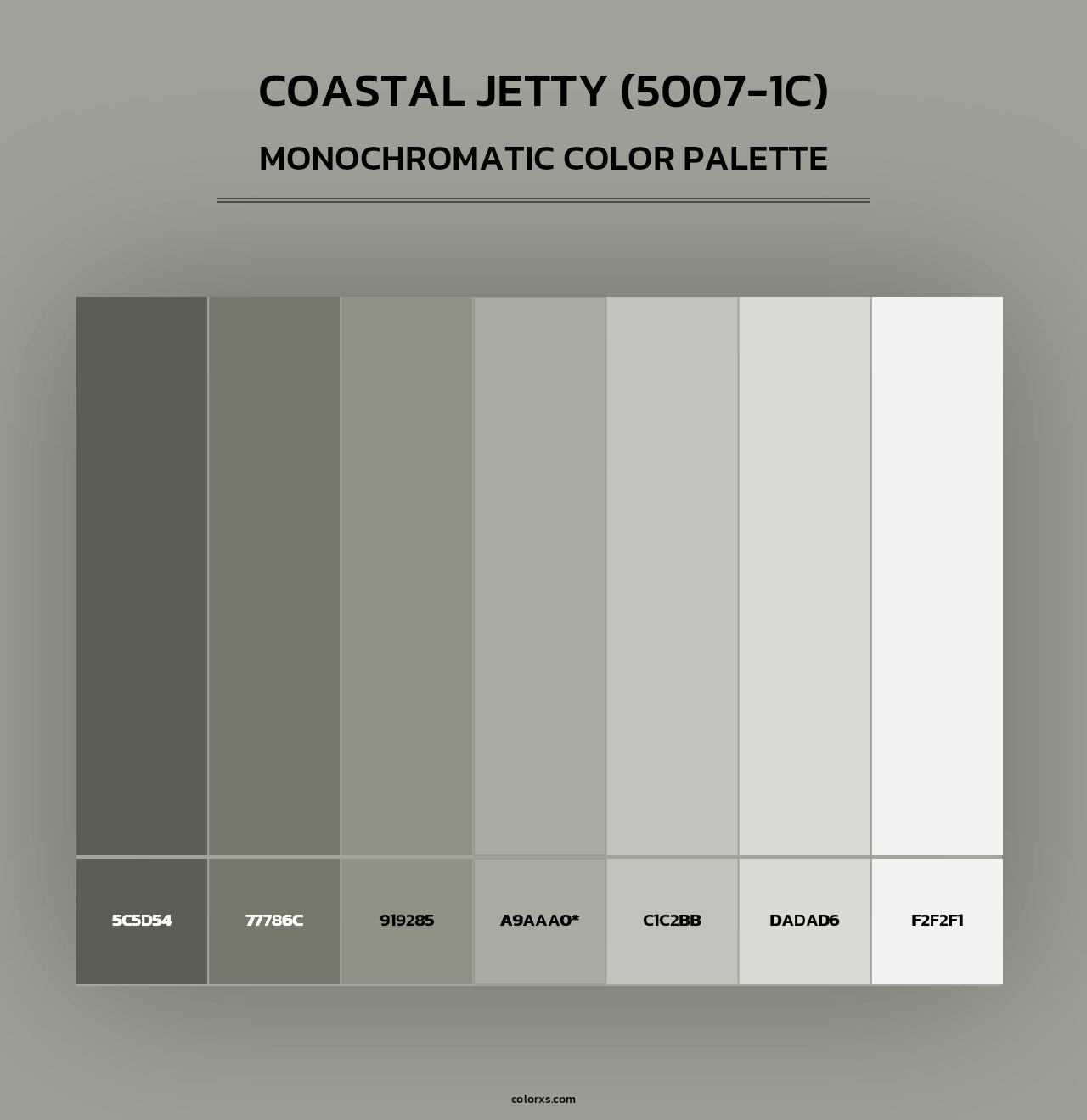 Coastal Jetty (5007-1C) - Monochromatic Color Palette