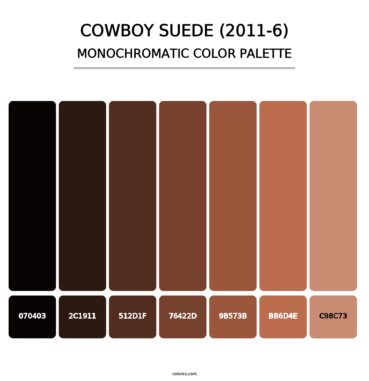 Cowboy Suede (2011-6) - Monochromatic Color Palette