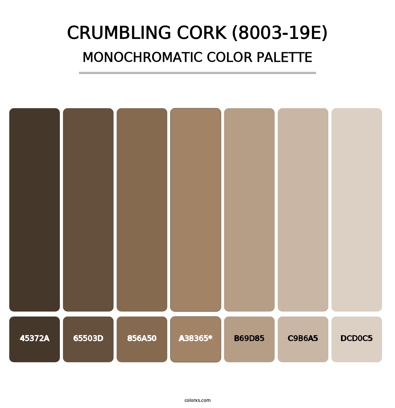 Crumbling Cork (8003-19E) - Monochromatic Color Palette