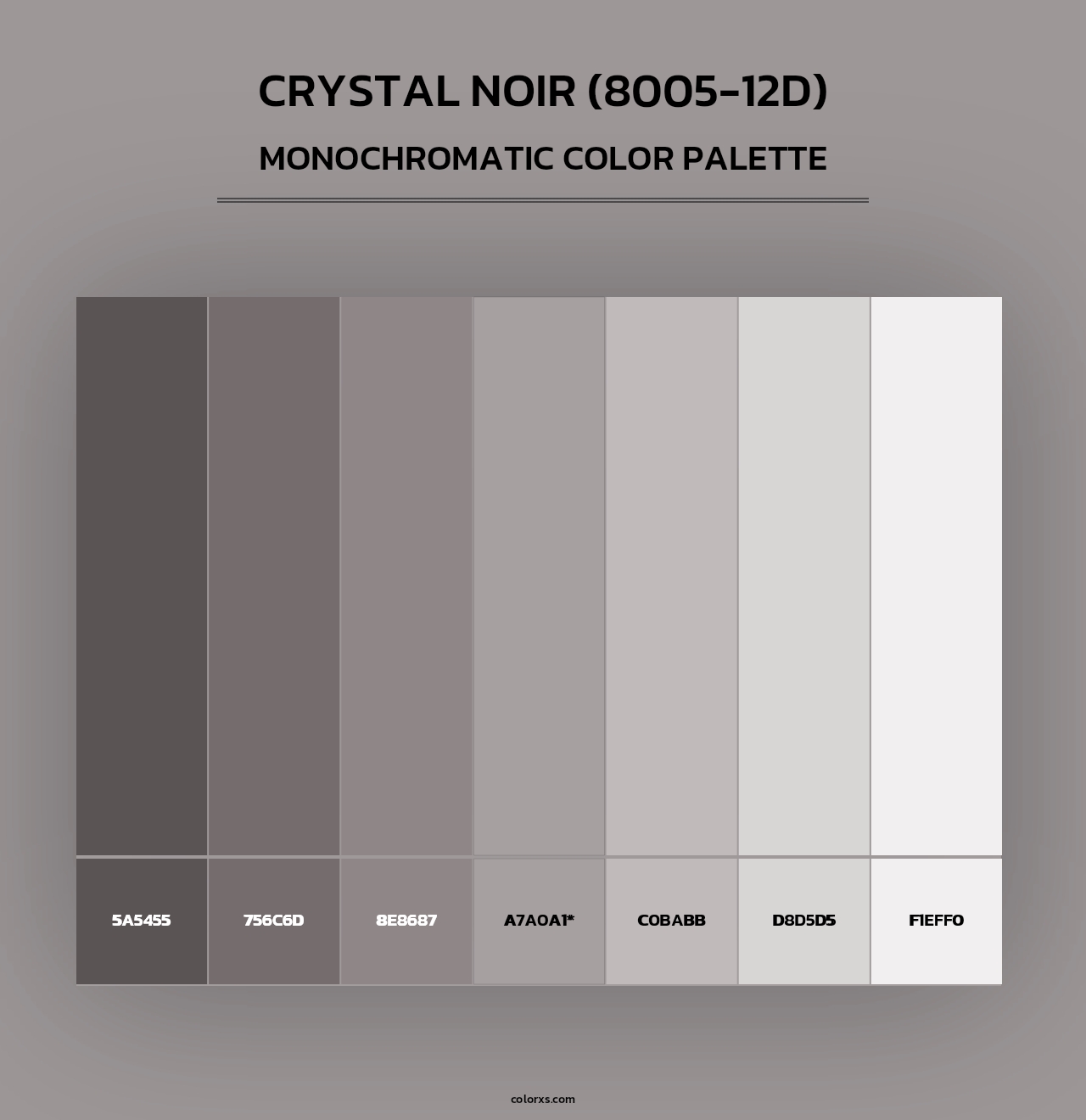 Crystal Noir (8005-12D) - Monochromatic Color Palette