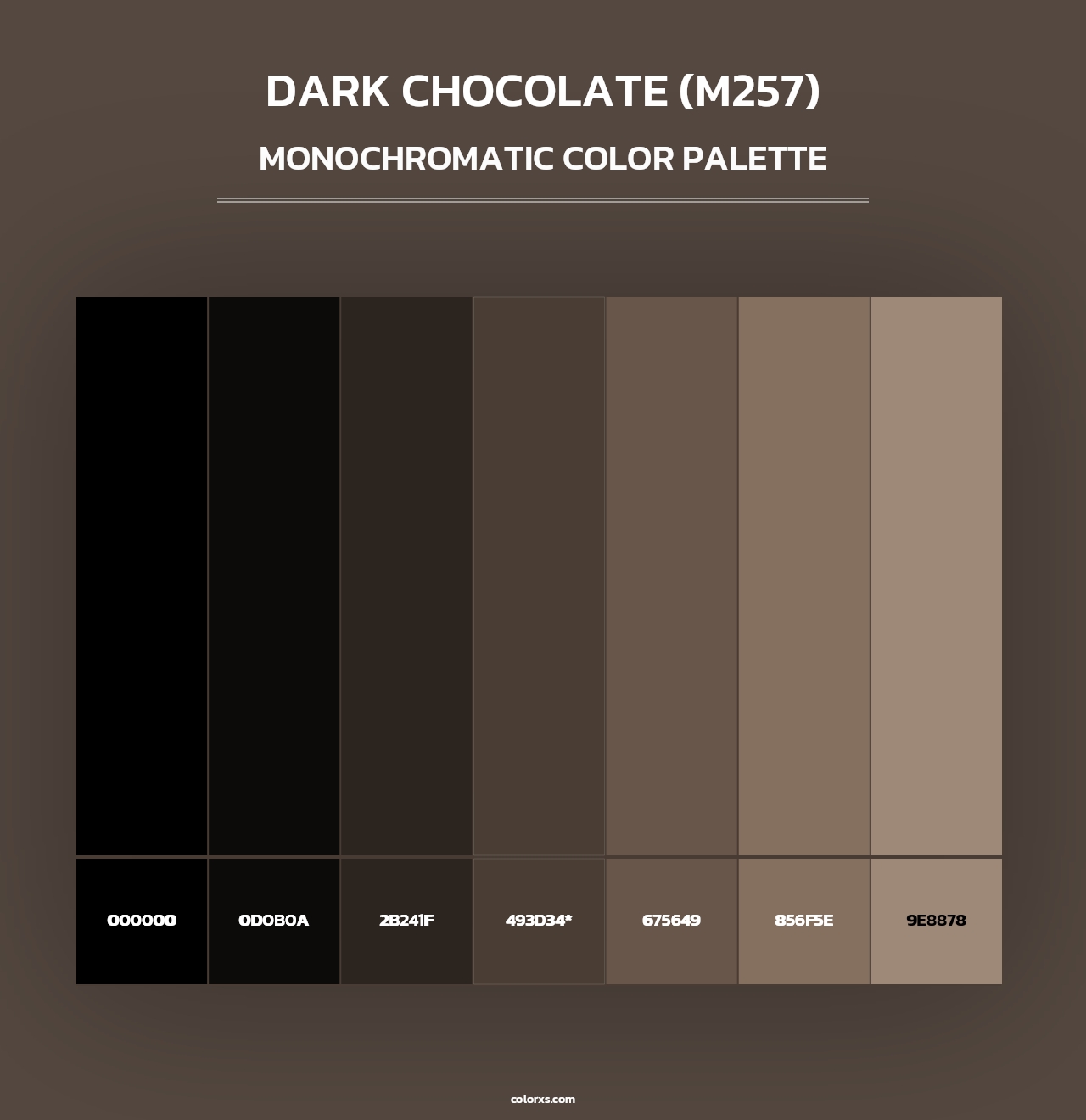 Dark Chocolate (M257) - Monochromatic Color Palette