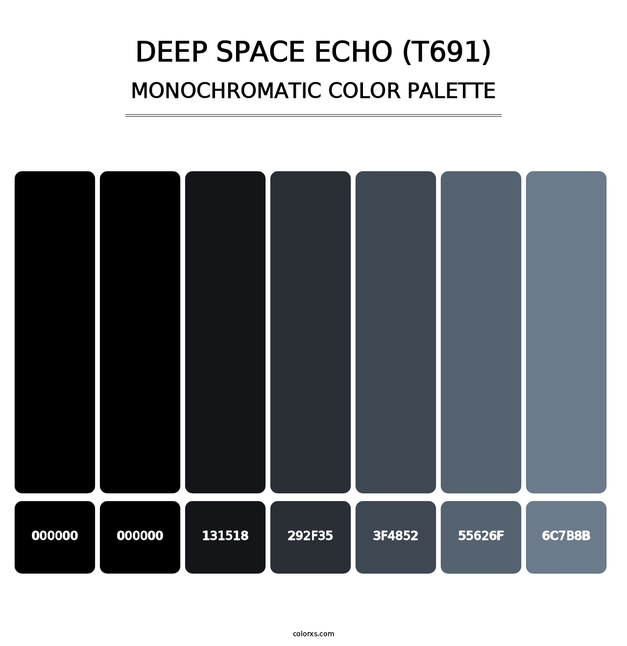 Deep Space Echo (T691) - Monochromatic Color Palette