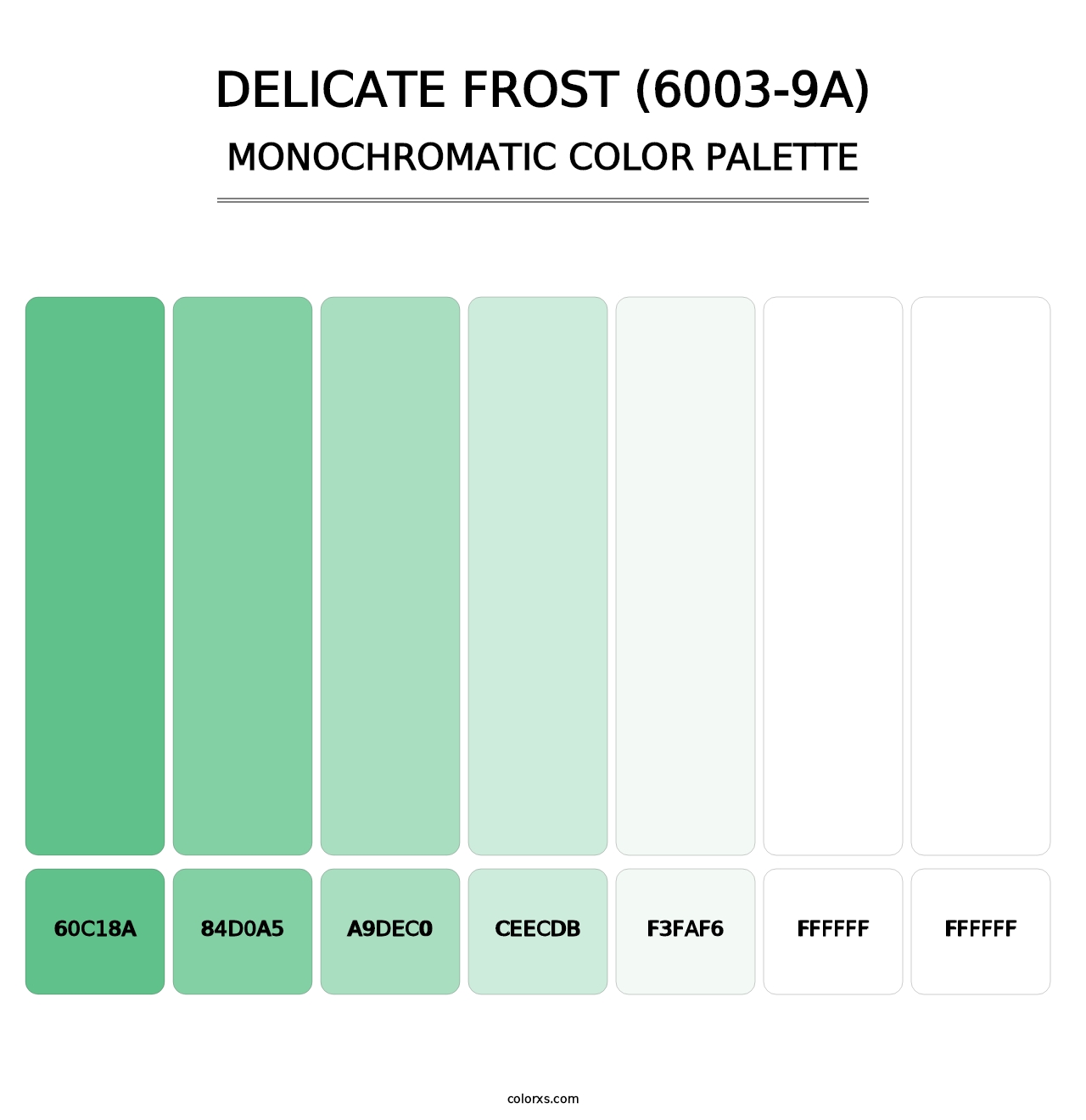 Delicate Frost (6003-9A) - Monochromatic Color Palette