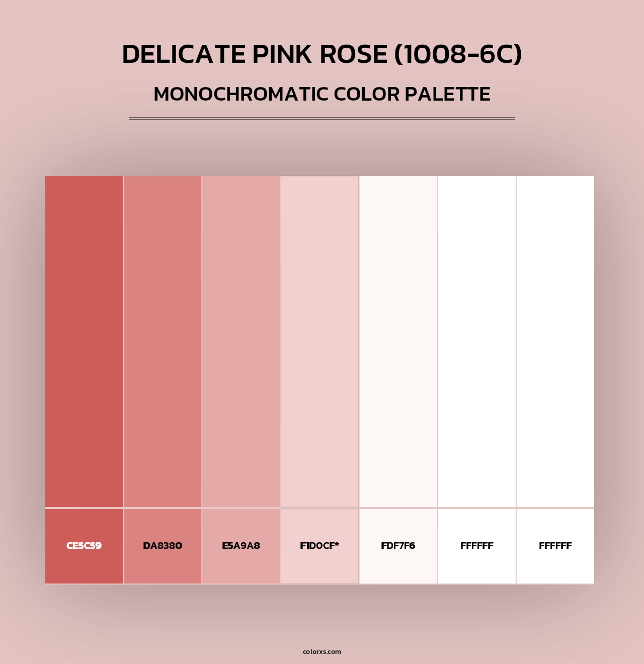 Delicate Pink Rose (1008-6C) - Monochromatic Color Palette