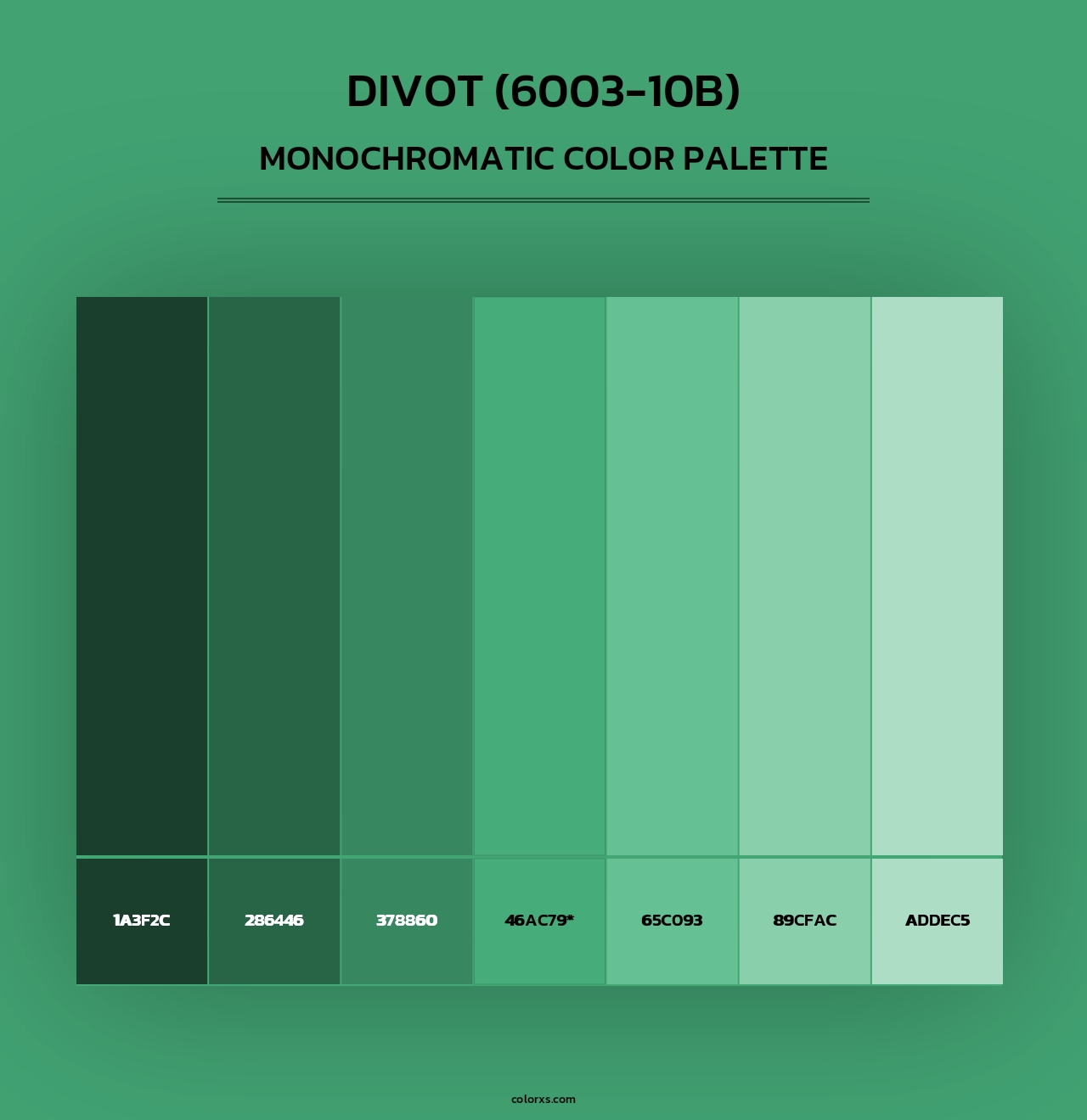 Divot (6003-10B) - Monochromatic Color Palette
