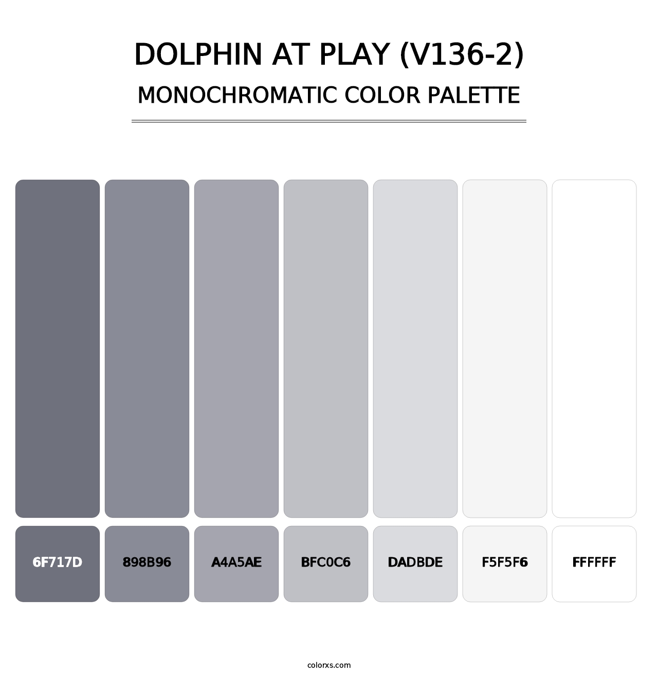 Dolphin at Play (V136-2) - Monochromatic Color Palette