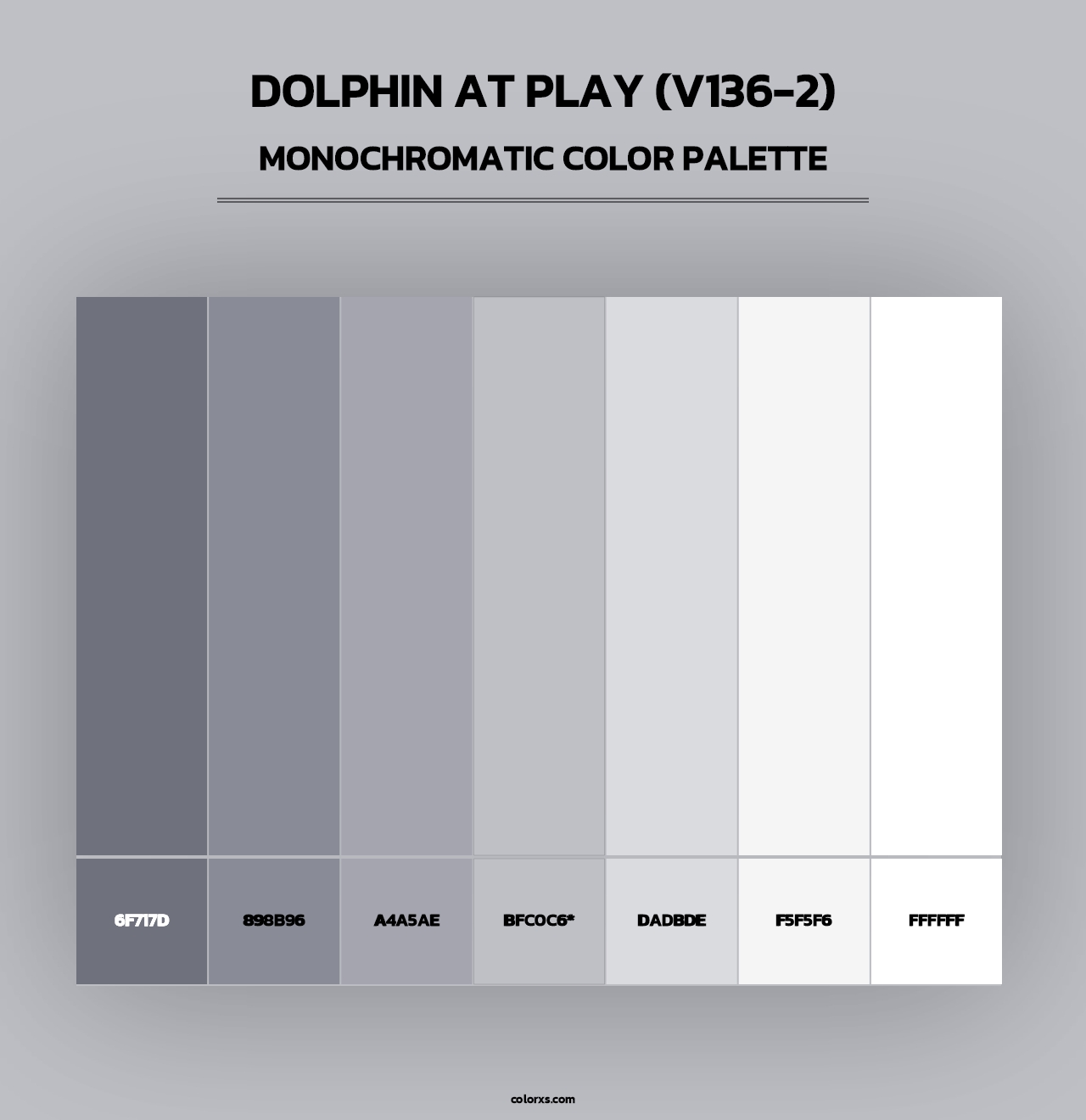 Dolphin at Play (V136-2) - Monochromatic Color Palette
