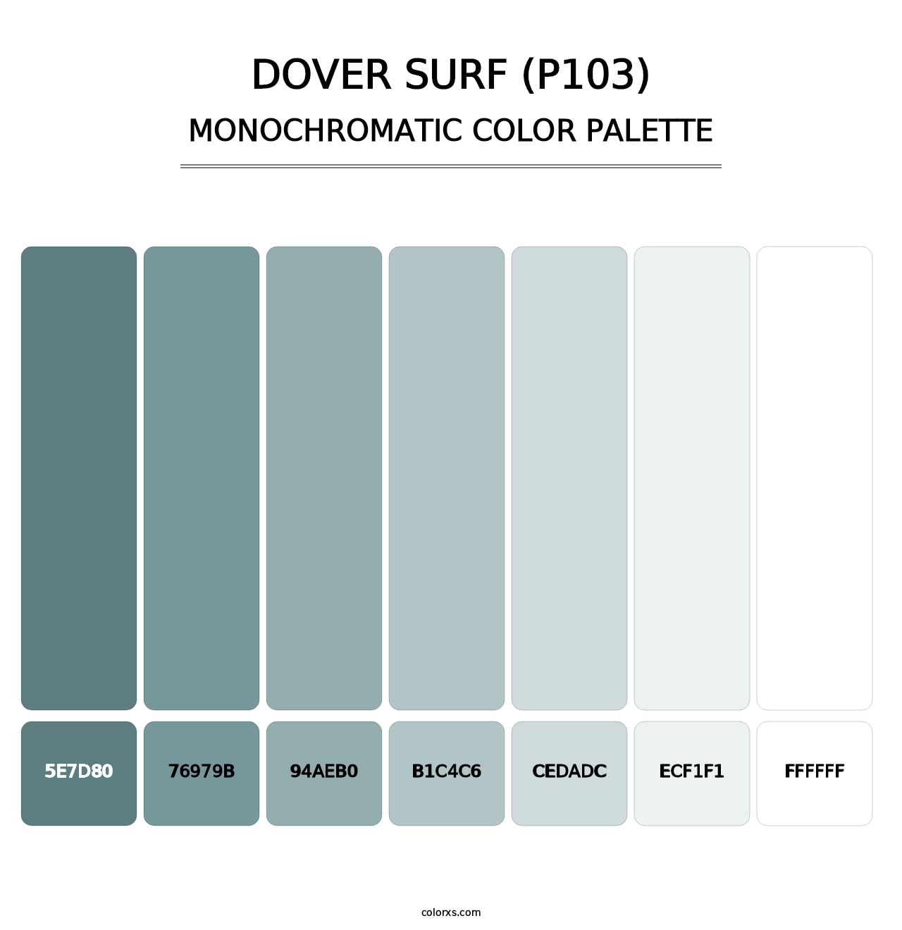 Dover Surf (P103) - Monochromatic Color Palette