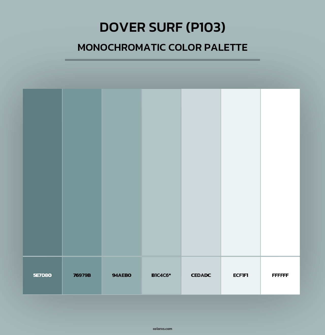 Dover Surf (P103) - Monochromatic Color Palette