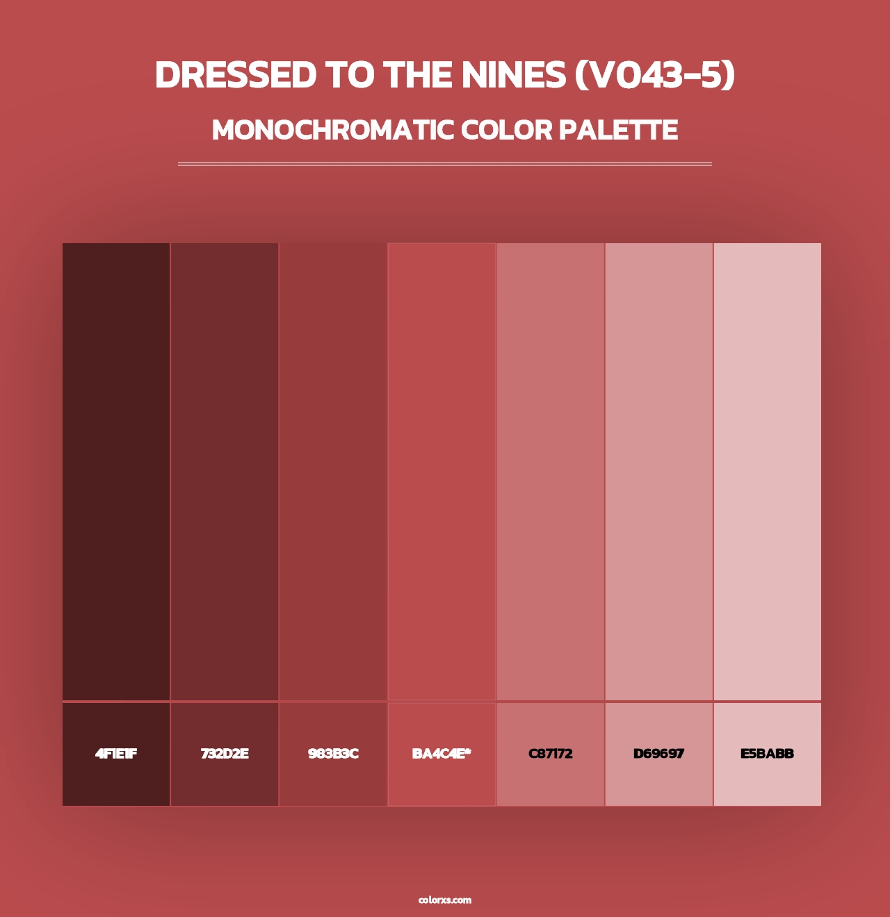 Dressed to the Nines (V043-5) - Monochromatic Color Palette