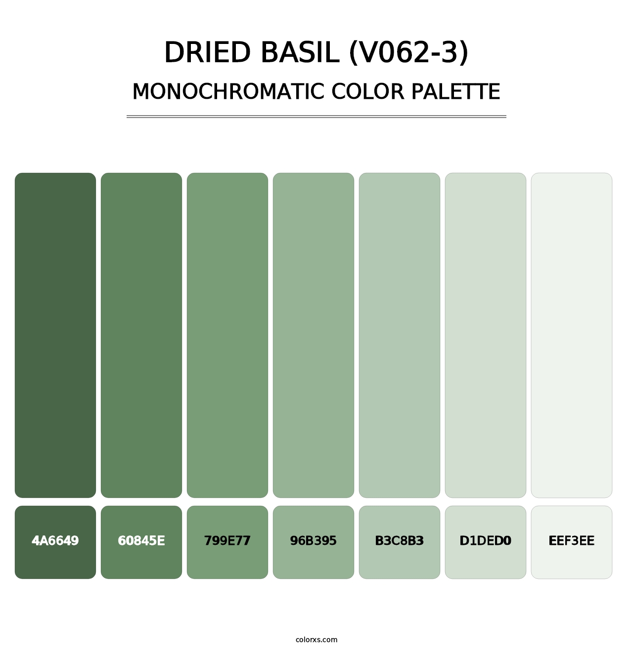 Dried Basil (V062-3) - Monochromatic Color Palette