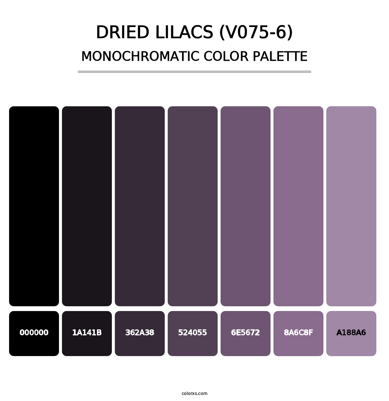 Dried Lilacs (V075-6) - Monochromatic Color Palette