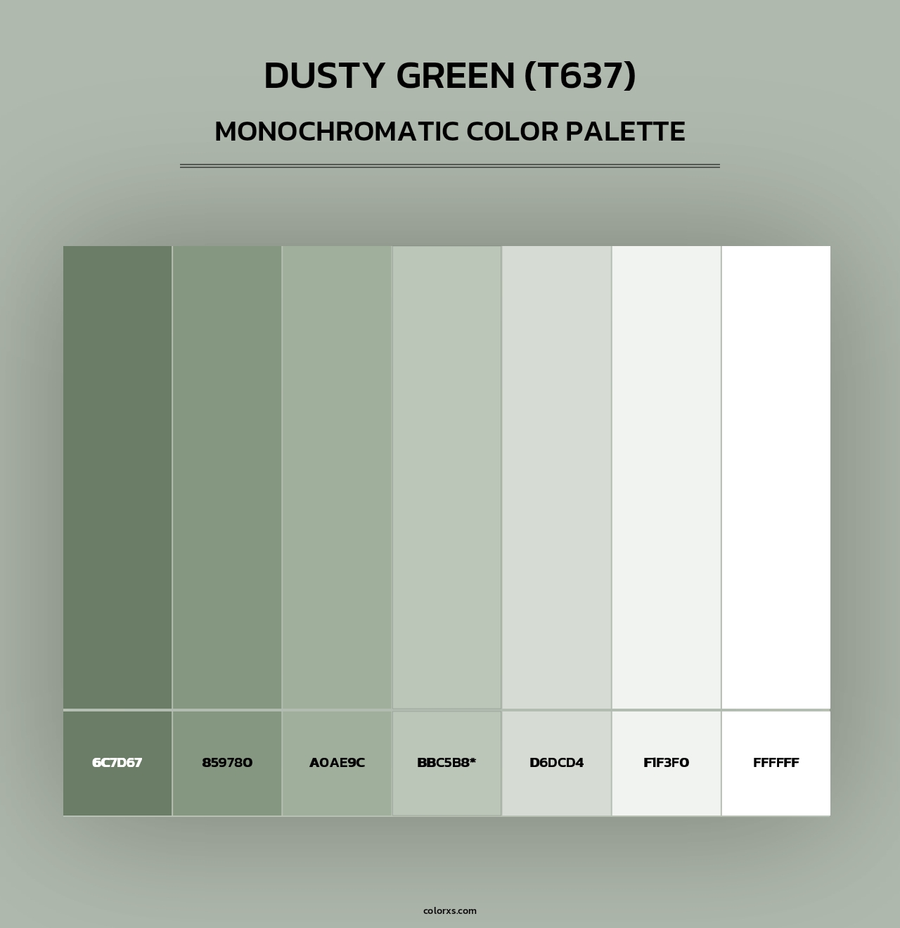 Dusty Green (T637) - Monochromatic Color Palette