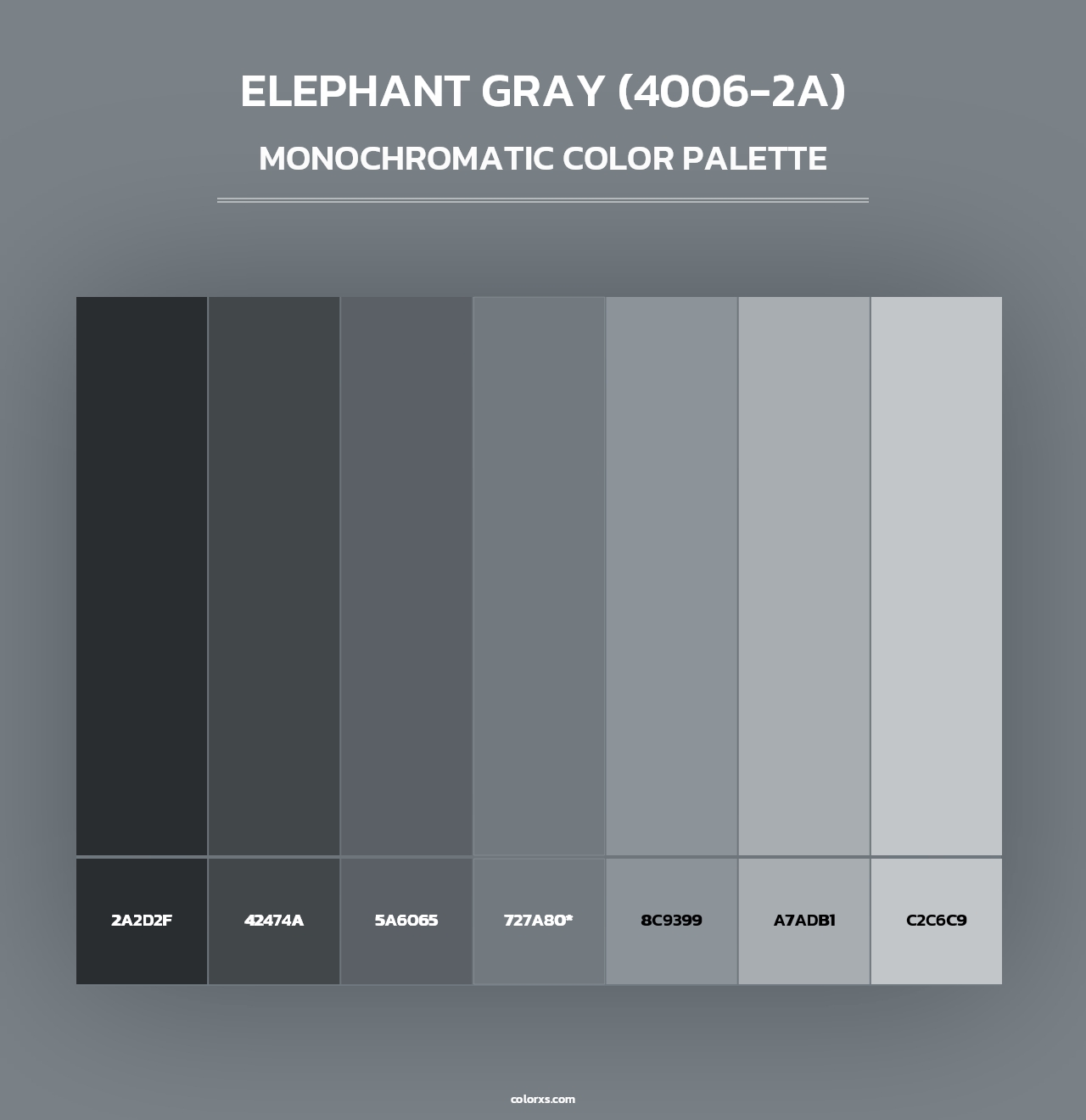 Elephant Gray (4006-2A) - Monochromatic Color Palette