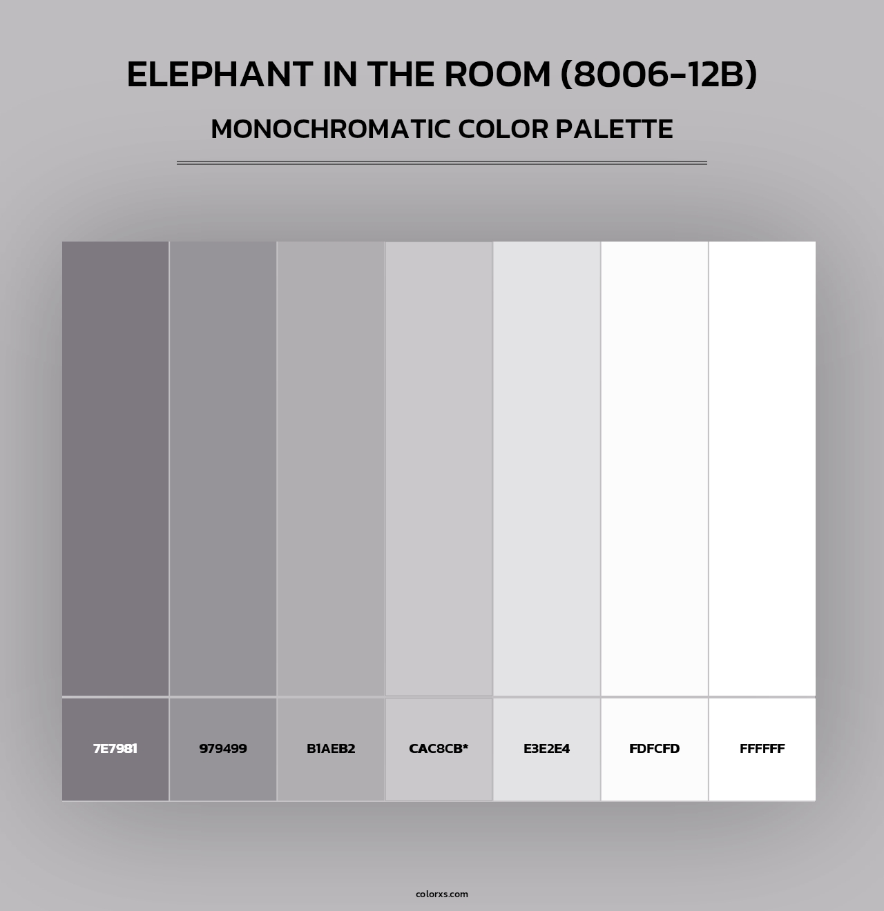 Elephant in the Room (8006-12B) - Monochromatic Color Palette