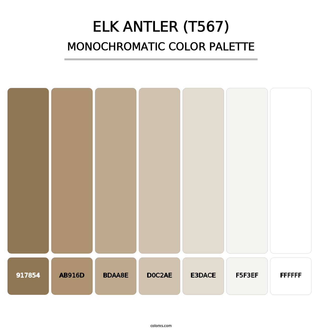 Elk Antler (T567) - Monochromatic Color Palette