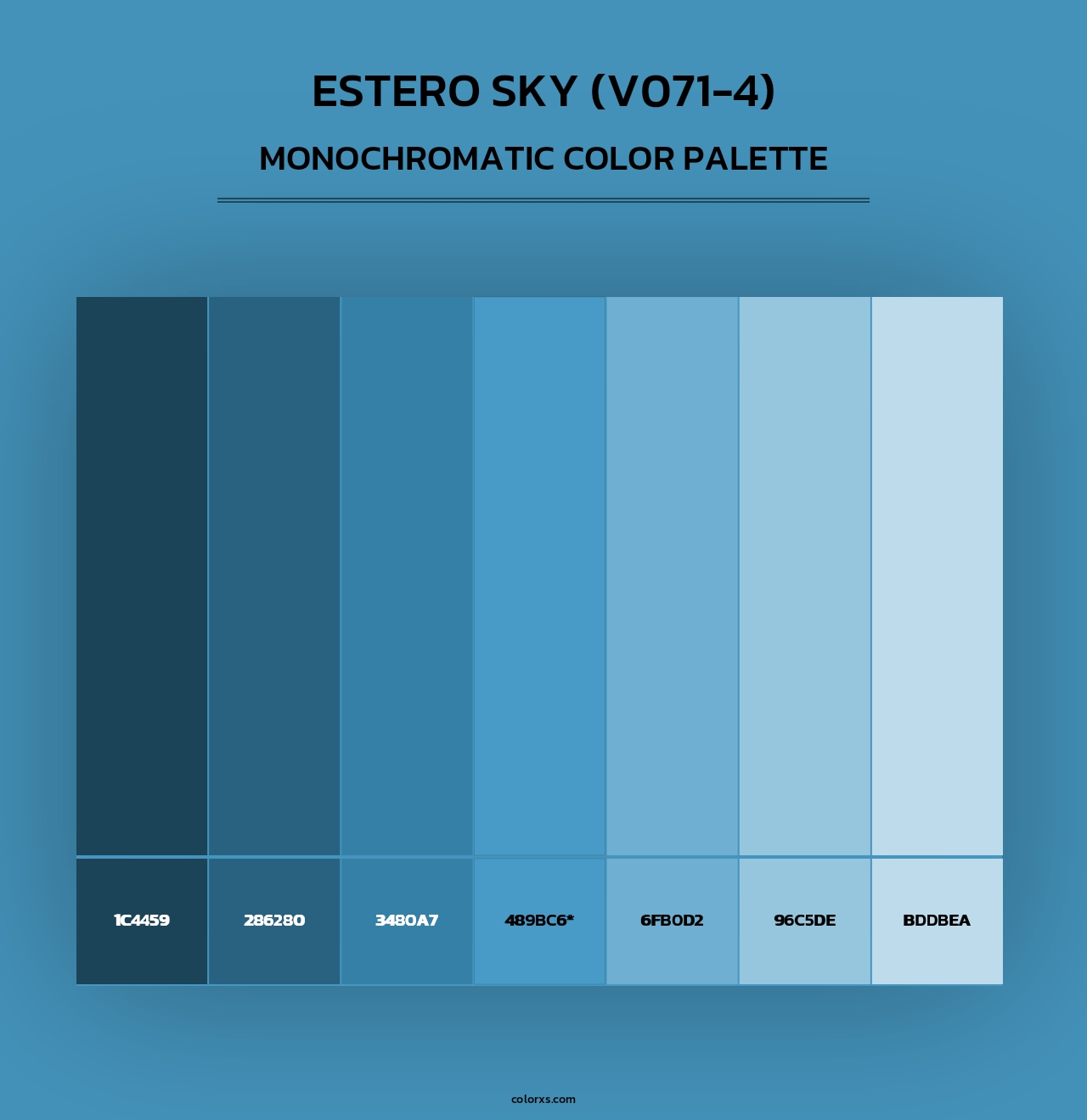 Estero Sky (V071-4) - Monochromatic Color Palette