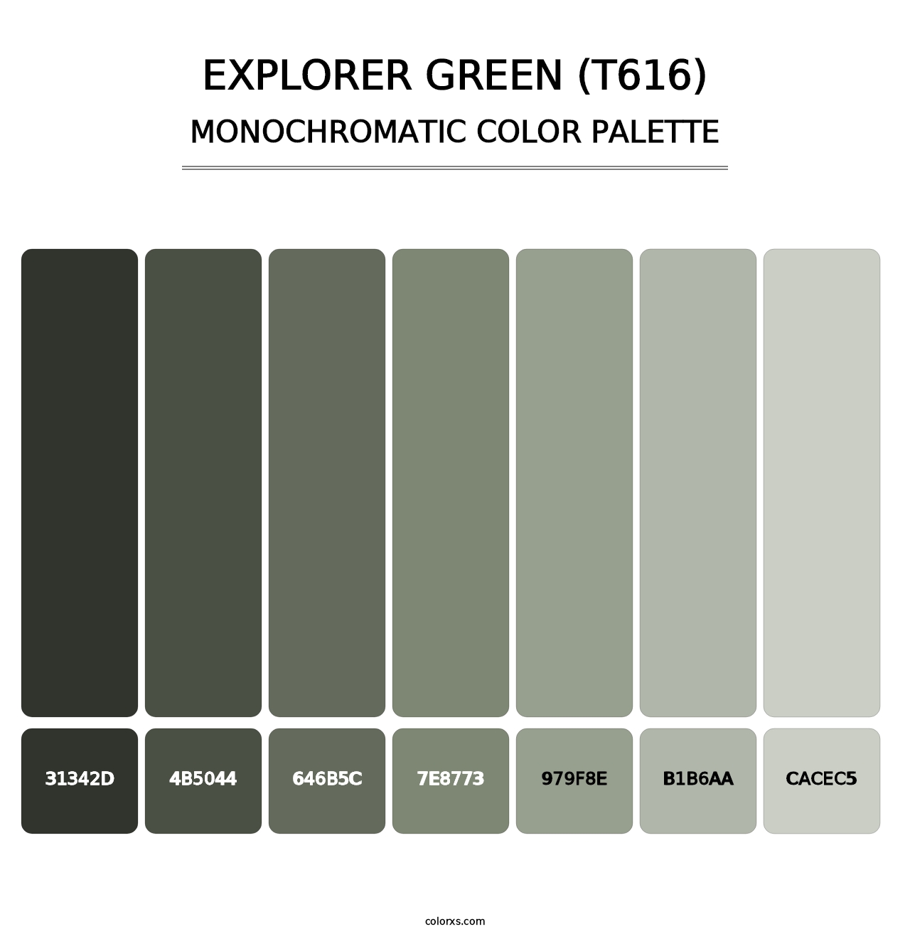 Explorer Green (T616) - Monochromatic Color Palette