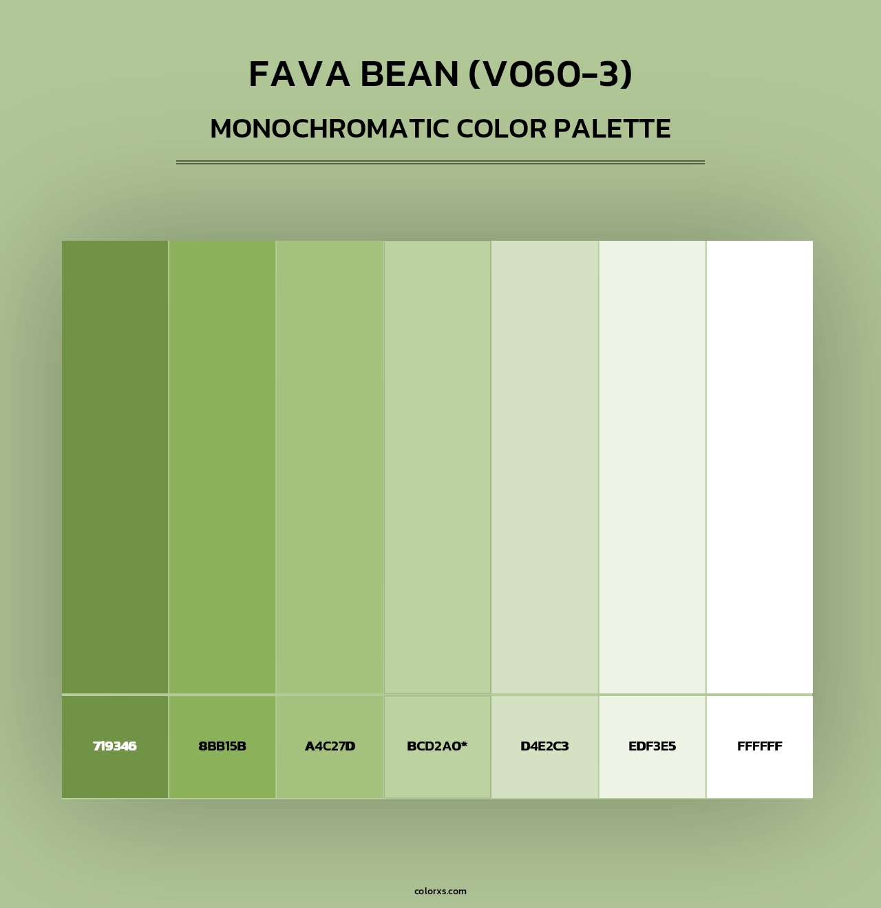 Fava Bean (V060-3) - Monochromatic Color Palette