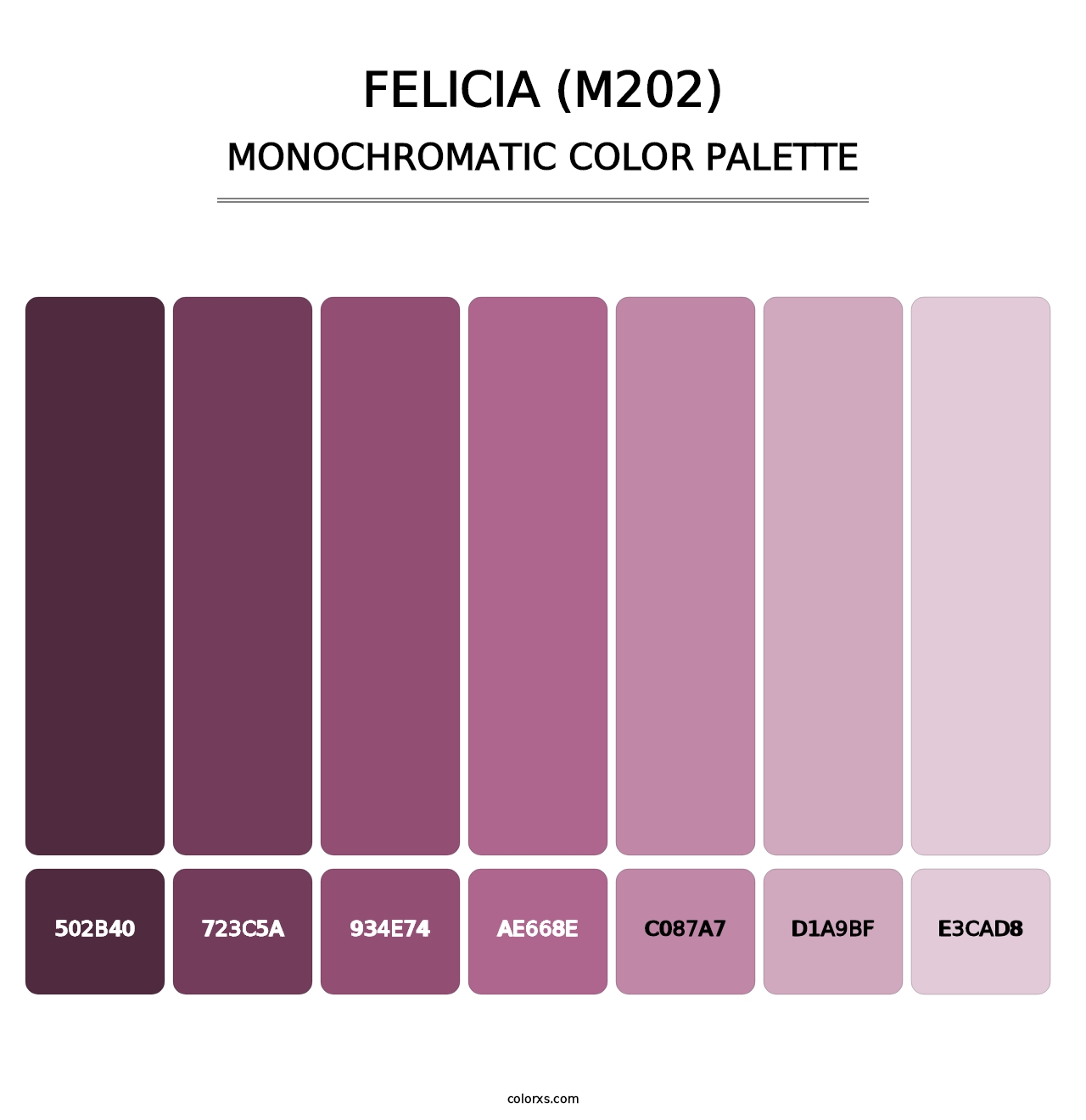 Felicia (M202) - Monochromatic Color Palette