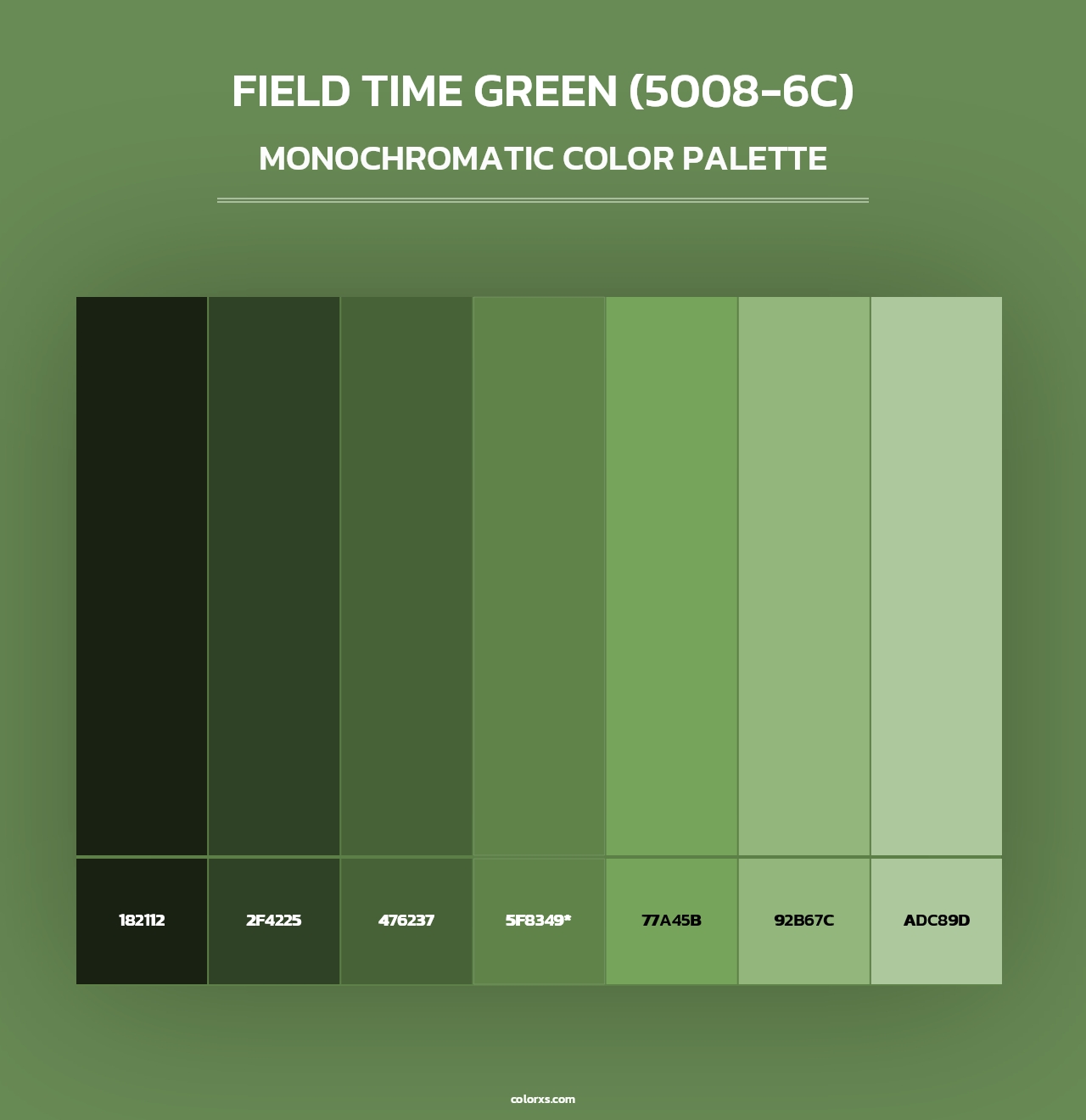 Field Time Green (5008-6C) - Monochromatic Color Palette
