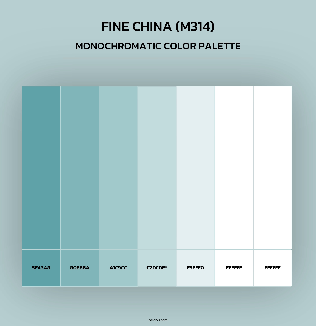 Fine China (M314) - Monochromatic Color Palette