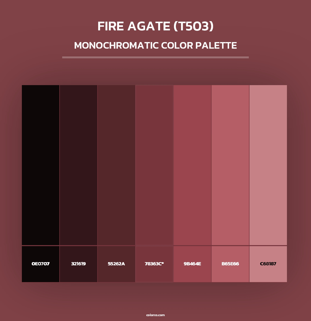 Fire Agate (T503) - Monochromatic Color Palette
