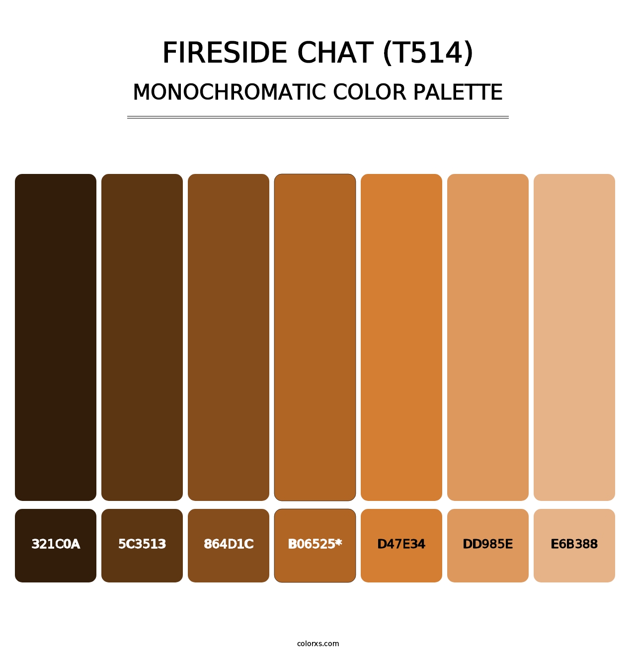 Fireside Chat (T514) - Monochromatic Color Palette