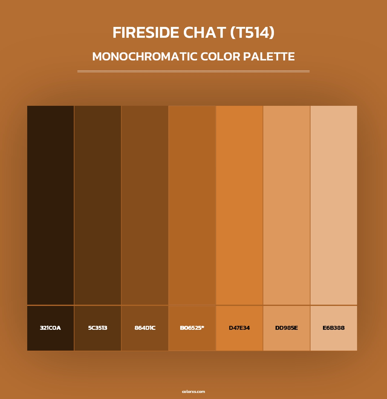 Fireside Chat (T514) - Monochromatic Color Palette