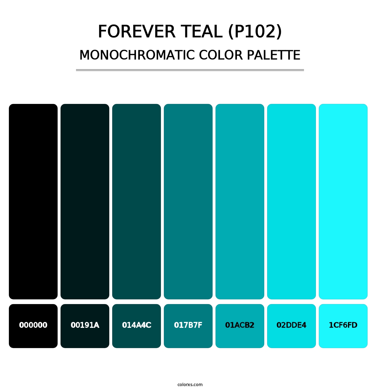 Forever Teal (P102) - Monochromatic Color Palette