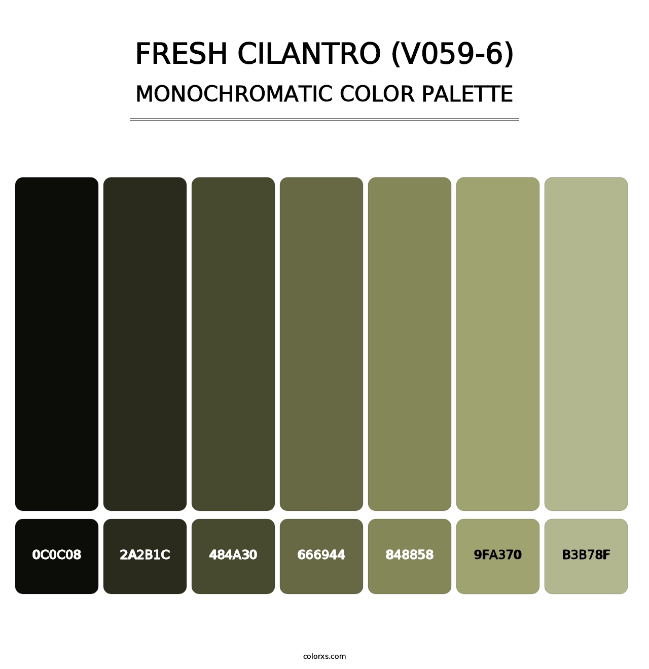 Fresh Cilantro (V059-6) - Monochromatic Color Palette