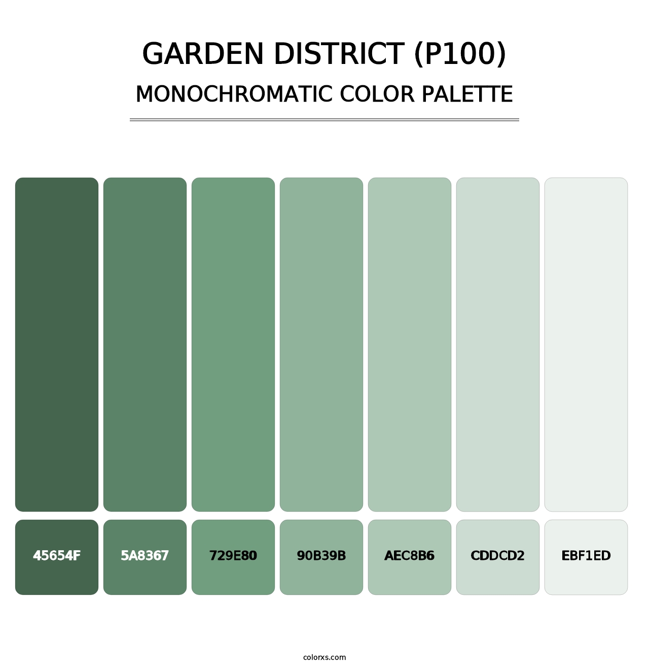 Garden District (P100) - Monochromatic Color Palette