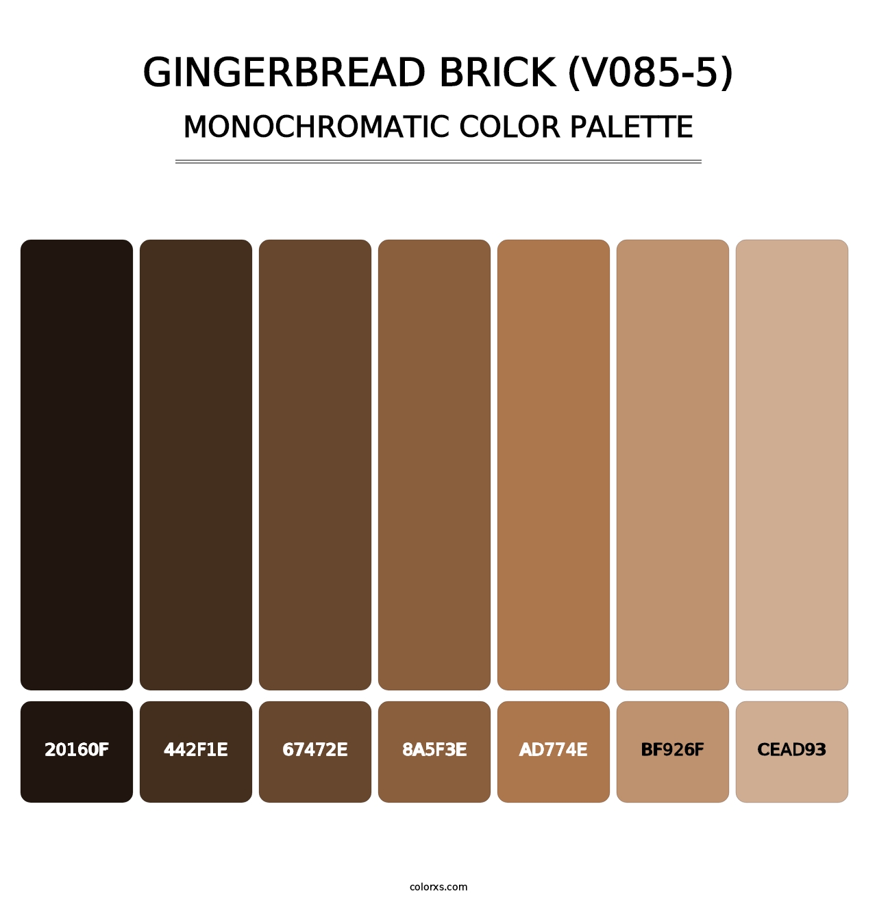 Gingerbread Brick (V085-5) - Monochromatic Color Palette