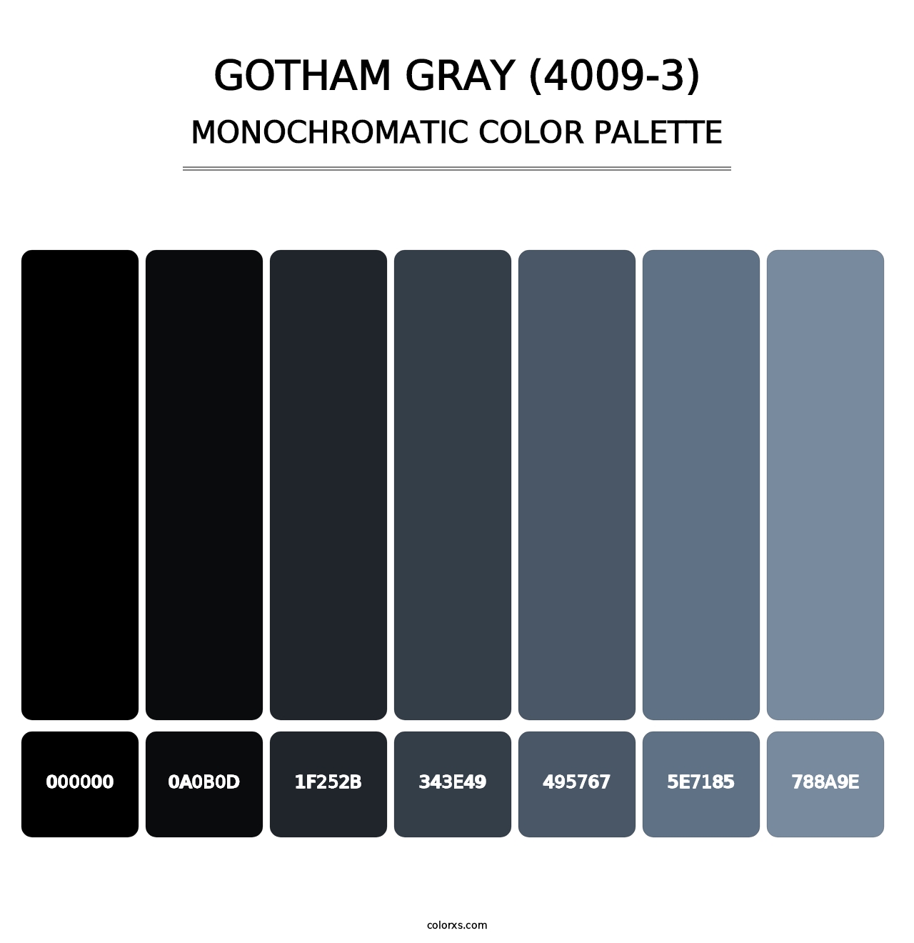 Gotham Gray (4009-3) - Monochromatic Color Palette