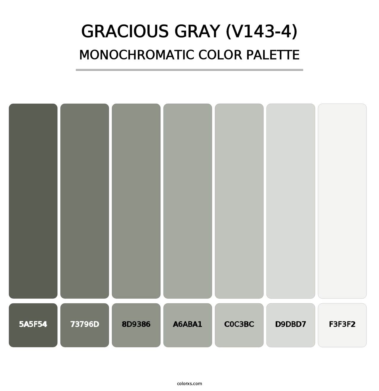 Gracious Gray (V143-4) - Monochromatic Color Palette