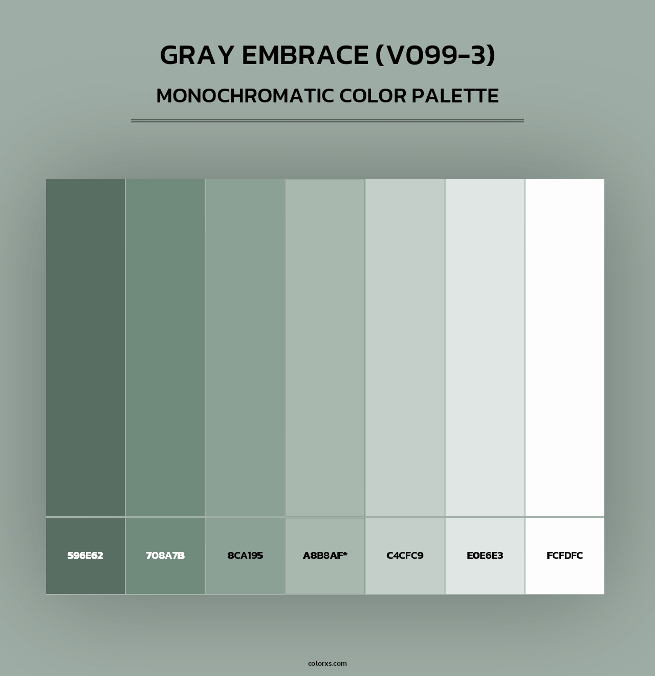 Gray Embrace (V099-3) - Monochromatic Color Palette