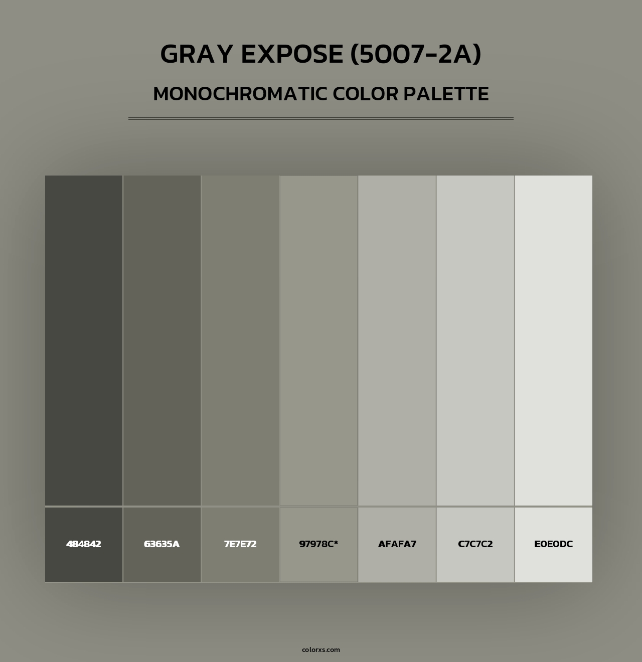 Gray Expose (5007-2A) - Monochromatic Color Palette