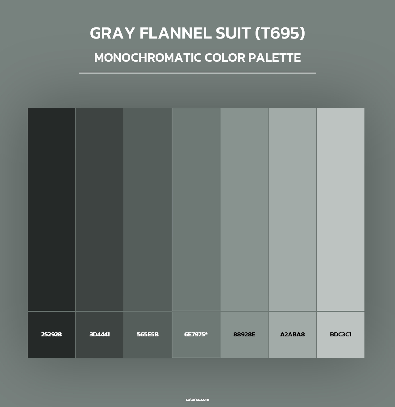 Gray Flannel Suit (T695) - Monochromatic Color Palette
