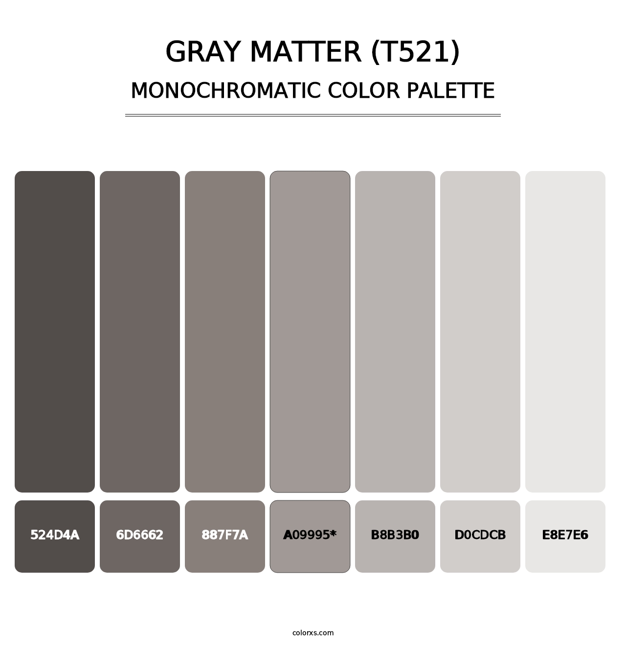 Gray Matter (T521) - Monochromatic Color Palette