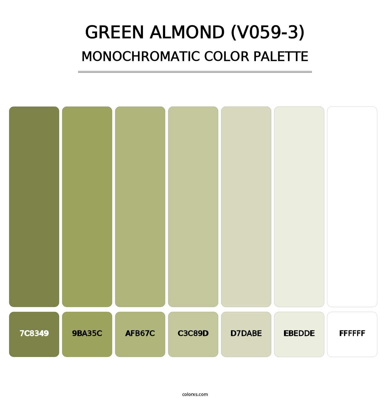 Green Almond (V059-3) - Monochromatic Color Palette