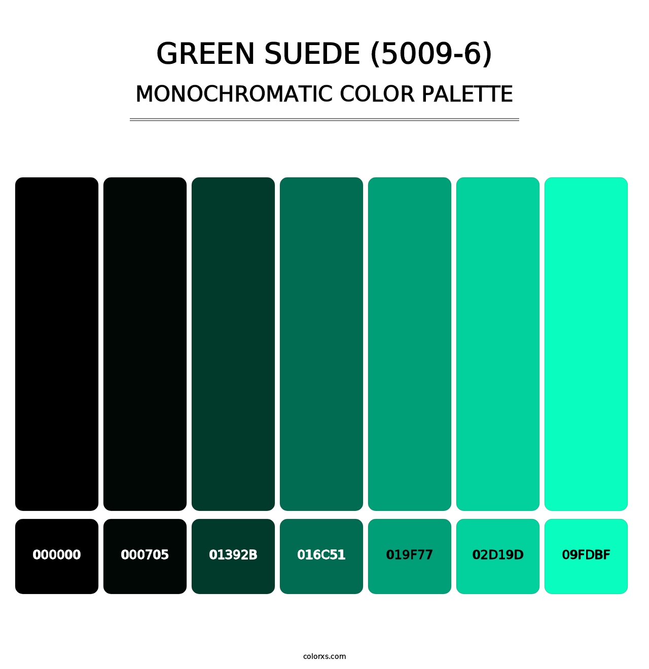Green Suede (5009-6) - Monochromatic Color Palette