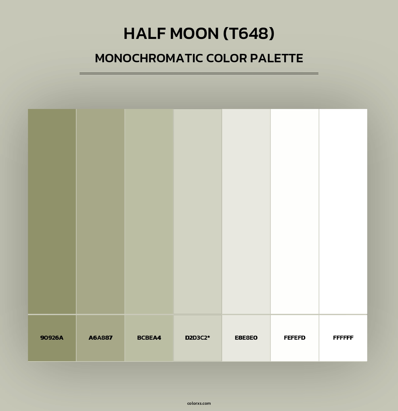 Half Moon (T648) - Monochromatic Color Palette