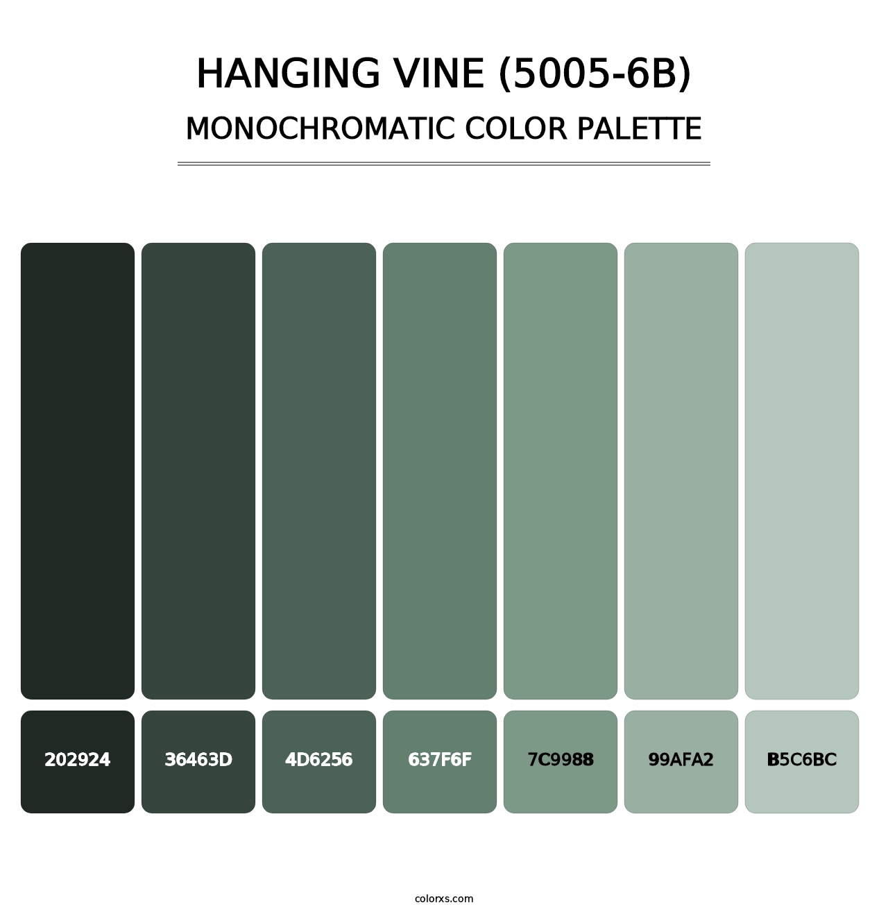 Hanging Vine (5005-6B) - Monochromatic Color Palette