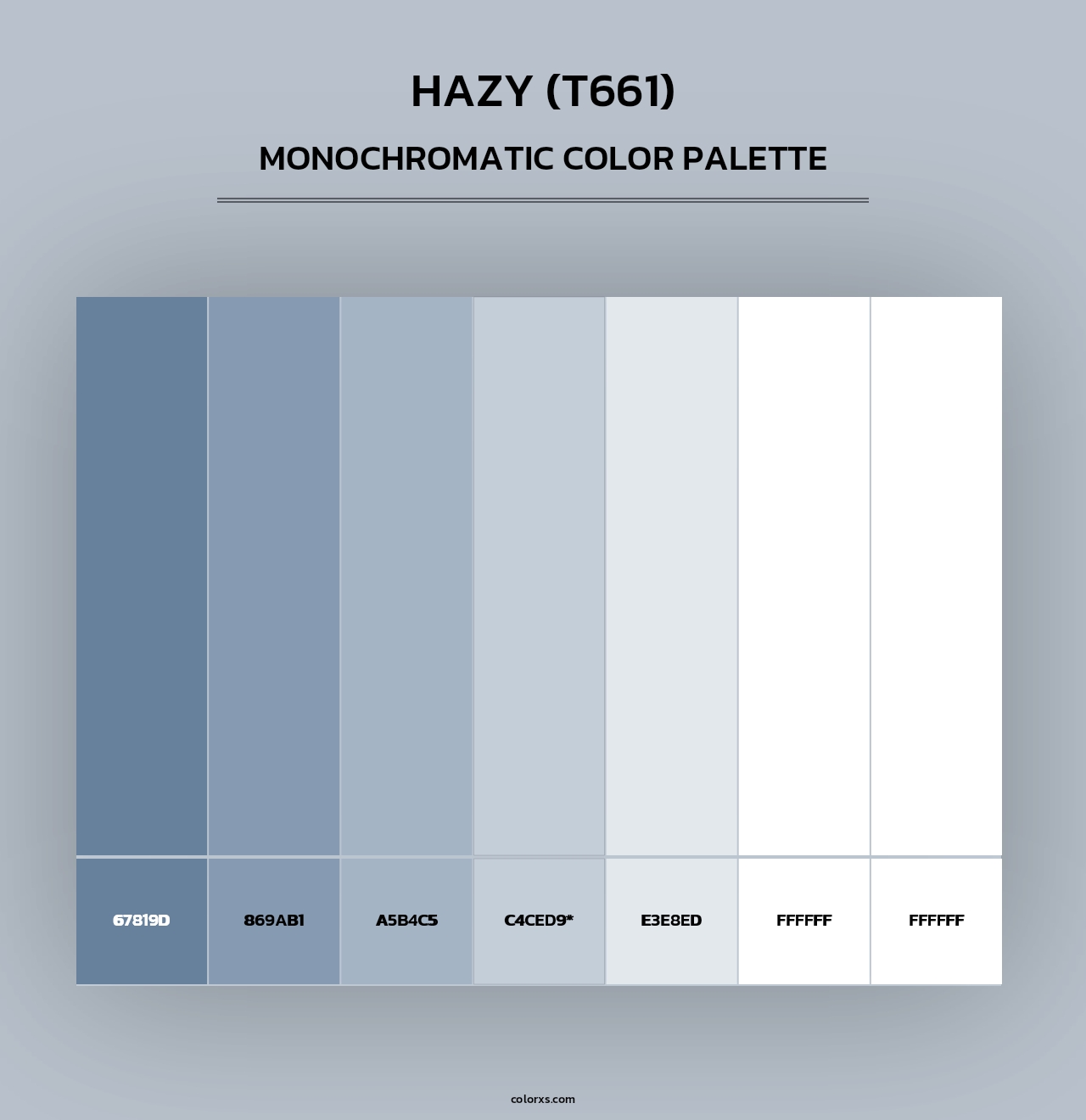 Hazy (T661) - Monochromatic Color Palette
