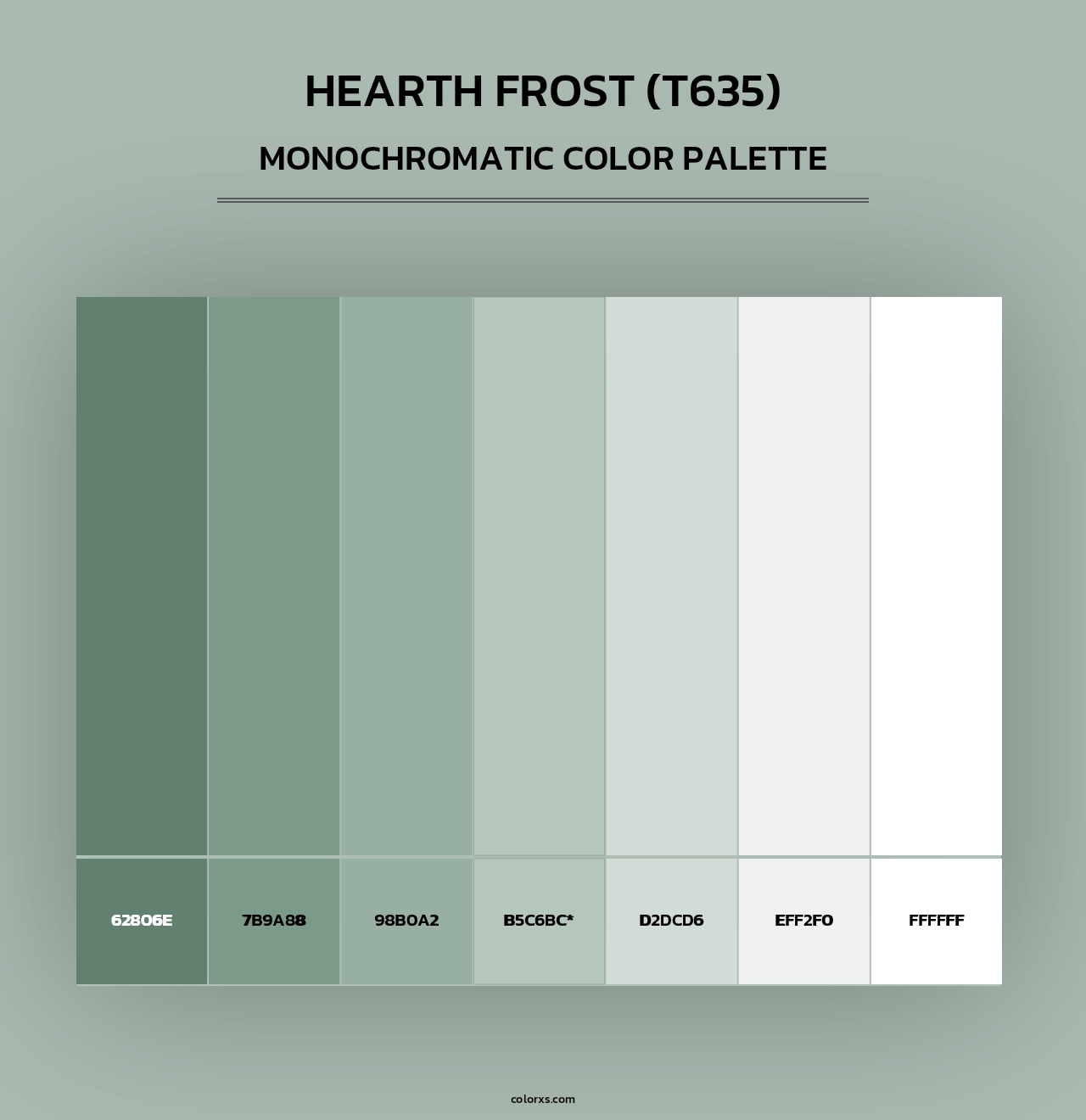 Hearth Frost (T635) - Monochromatic Color Palette