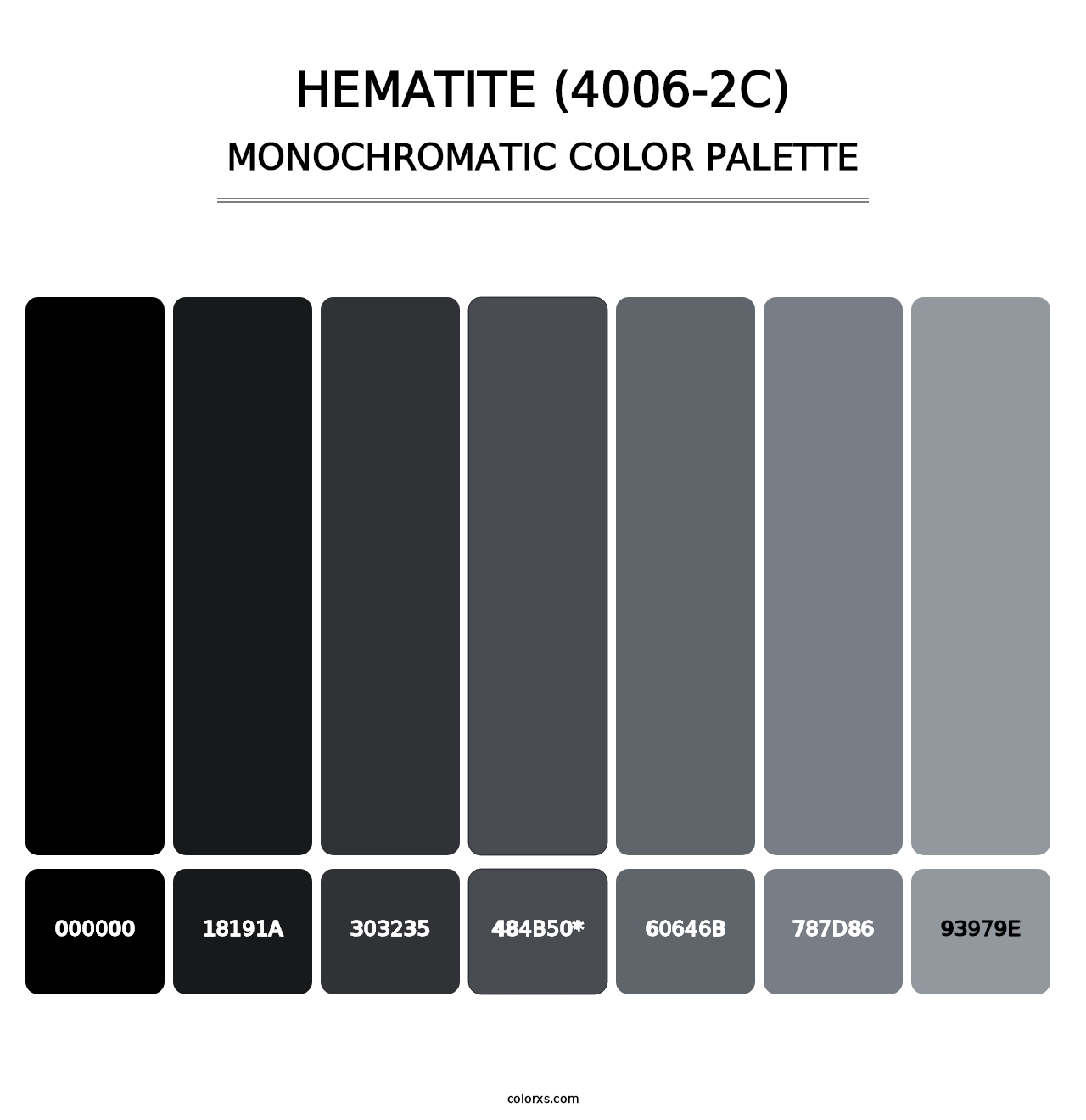 Hematite (4006-2C) - Monochromatic Color Palette