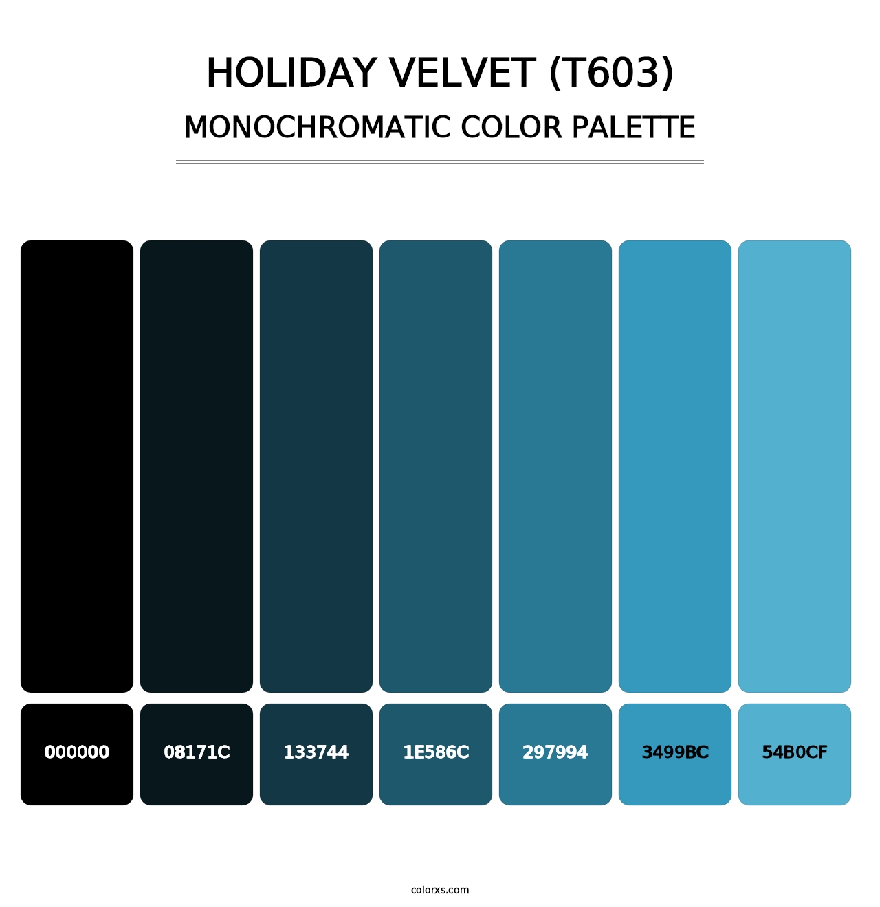 Holiday Velvet (T603) - Monochromatic Color Palette