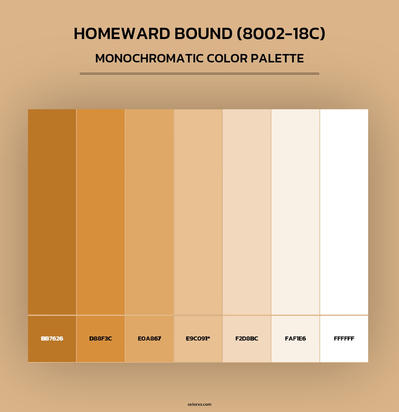 Homeward Bound (8002-18C) - Monochromatic Color Palette